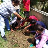 Swachta Pakhwada
