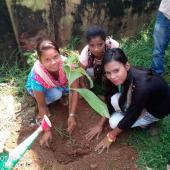 Swachta Pakhwada