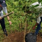 Swachta Pakhwada