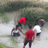 Canal cleaning, Tamil Nadu