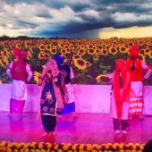 National Youth Festival (Yuvaah)