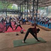 International Yoga Day 2022