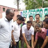 Tree Plantation