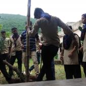Tree Plantation