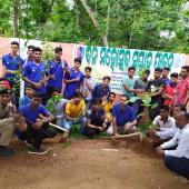 Tree Plantation