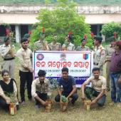 Tree Plantation