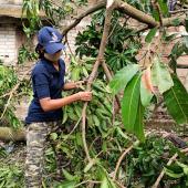 Cyclone Amphan
