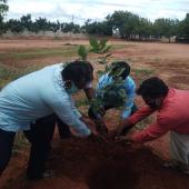 Environment Day 