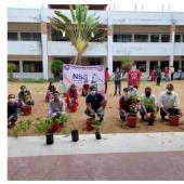 Environment Day 