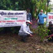 Environment Day 