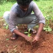 Environment Day 