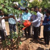 Environment Day 