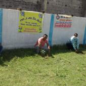 Environment Day 