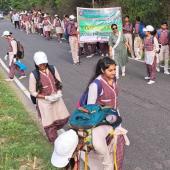 पर्यावरण दिवस-2023