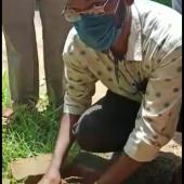 Environment Day 