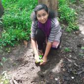 Environment Day 