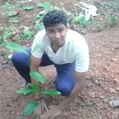 Environment Day 