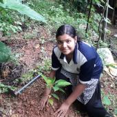 Environment Day 
