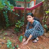 Environment Day 