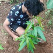 Environment Day 