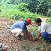 Environment Day 