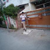 COVID-19