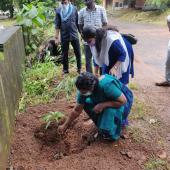 Environment Day 