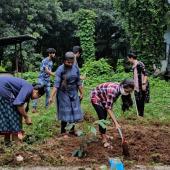 Environment Day 
