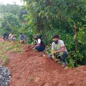 Environment Day 