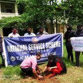 Environment Day 