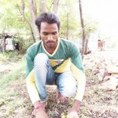 Environment Day 