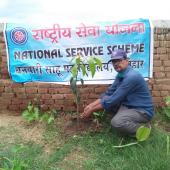 Environment Day 