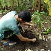 Environment Day 