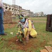 Environment Day 