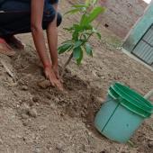 Environment Day 