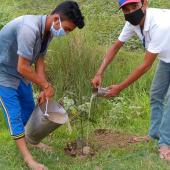 Environment Day 