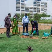 Environment Day 