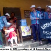 pulse polio
