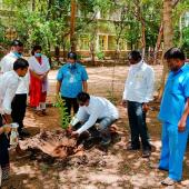 Environment Day 
