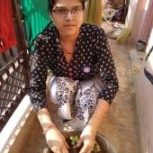 Environment Day 