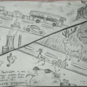 Environment Day 