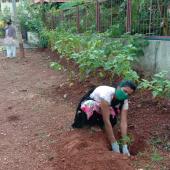 Environment Day 
