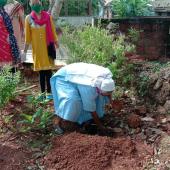 Environment Day 