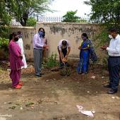 Environment Day 