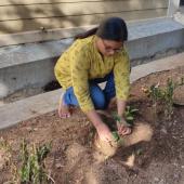Environment Day 