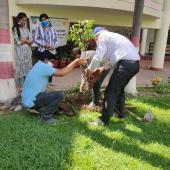 Environment Day 