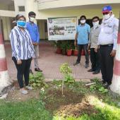 Environment Day 