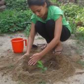 Environment Day 