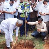 Environment Day 