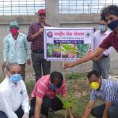 Environment Day 